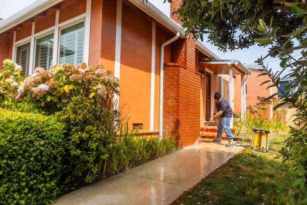 Best Roof Power Washing Services  in Meeker, CO