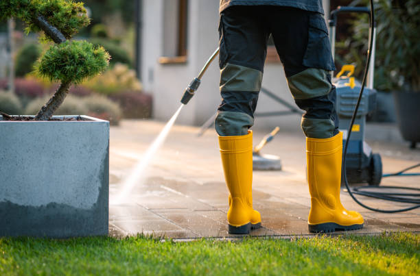 Best Affordable Power Washing  in Meeker, CO